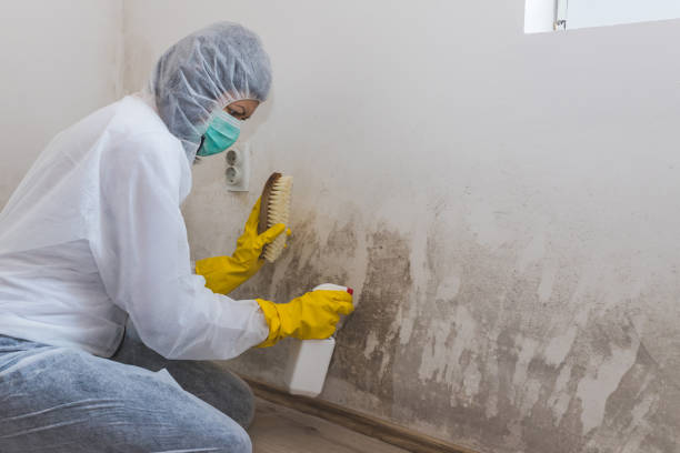 Best Post-Remediation Verification Testing  in Cordele, GA