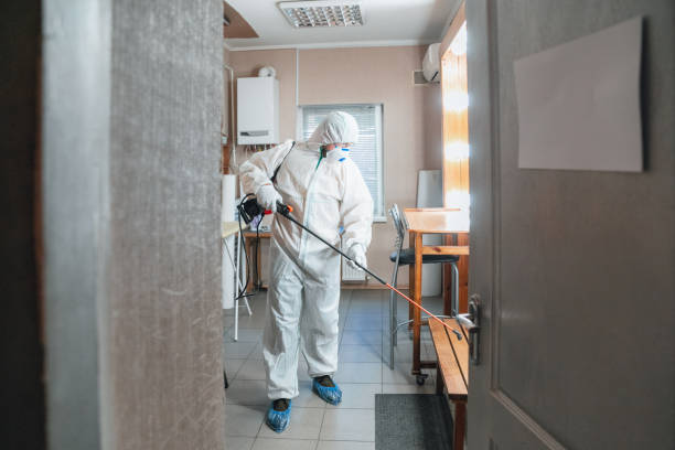 Best Real Estate Mold Inspection  in Cordele, GA