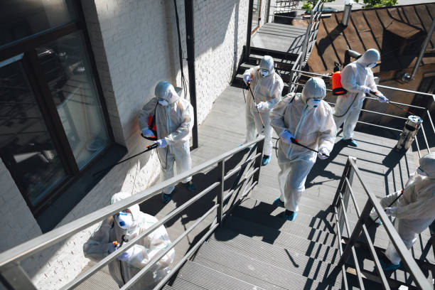 Best Black Mold Removal  in Cordele, GA